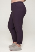 БРЮКИ ГУДЗОН цвет пепельно-фиолетовый