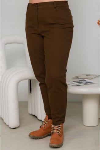 БРЮКИ САНДИЕГО цвет ореховый