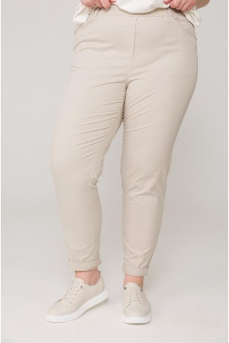 БРЮКИ АЛЬФА цвет серо-бежевый