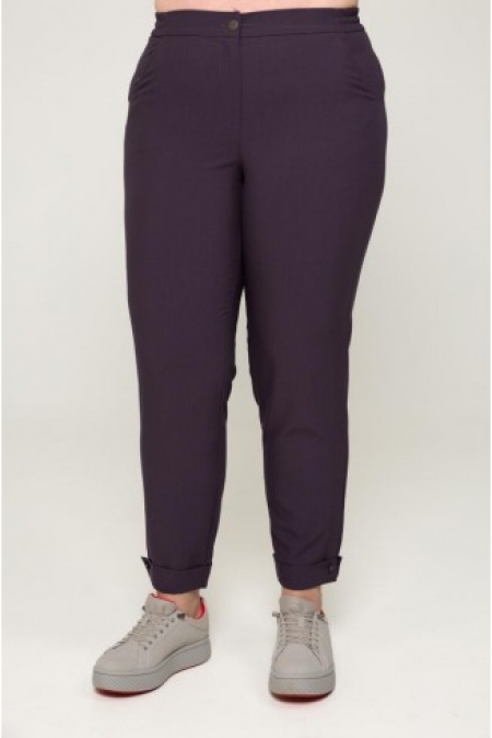 БРЮКИ ГУДЗОН цвет пепельно-фиолетовый
